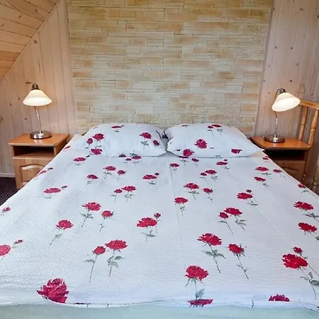 Prywatne U Bachledow * זקופאנה