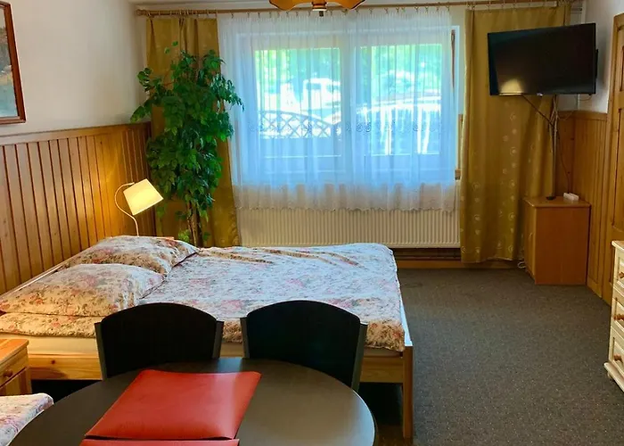 Prywatne U Bachledów Apartamento